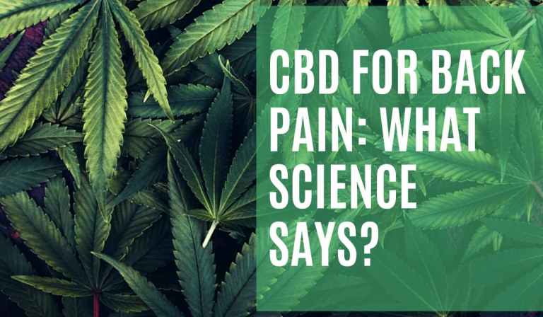 CBD For Back Pain: What Science Says?