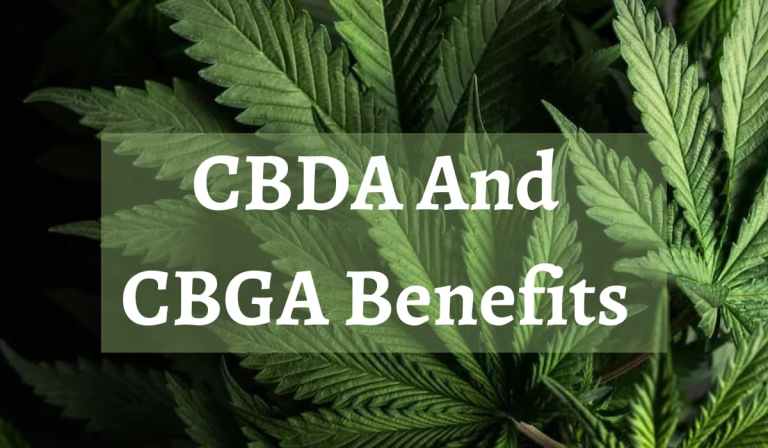CBDA And CBGA Benefits – A Comprehensive Guide To The Benefits Of Cannabinoids