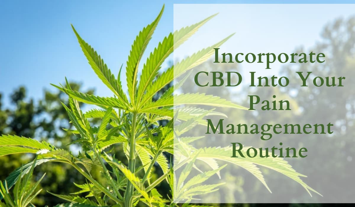 How To Incorporate CBD Into Your Pain Management Routine
