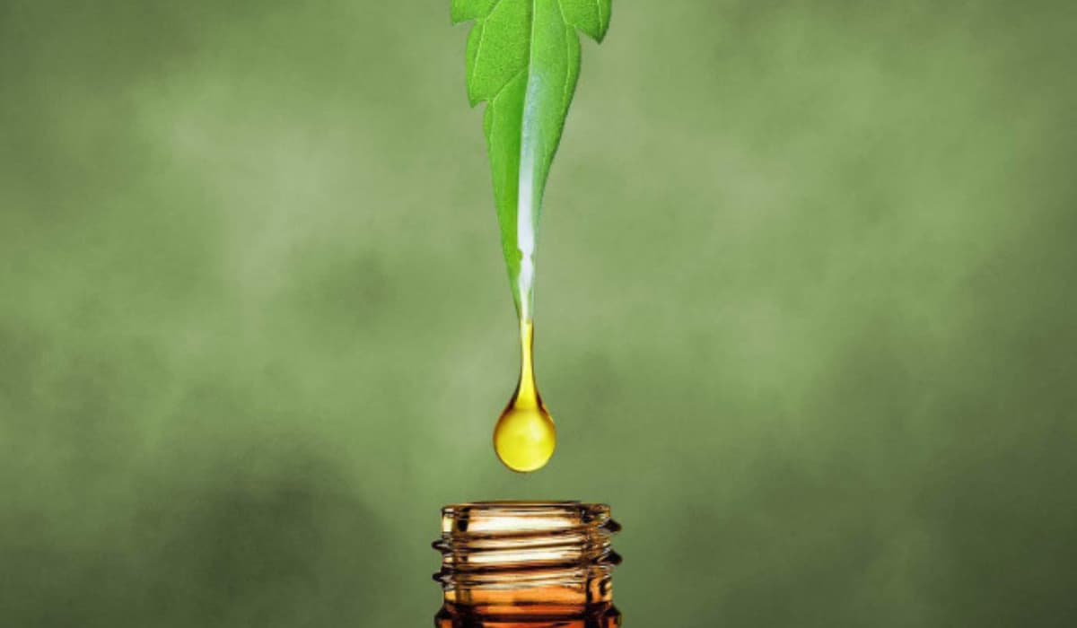 Is CBD Oil A Good Reliever For All Type Of Pain