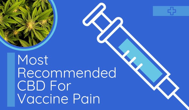 Most Recommended CBD For Vaccine Pain: Is It Convenient To Use?
