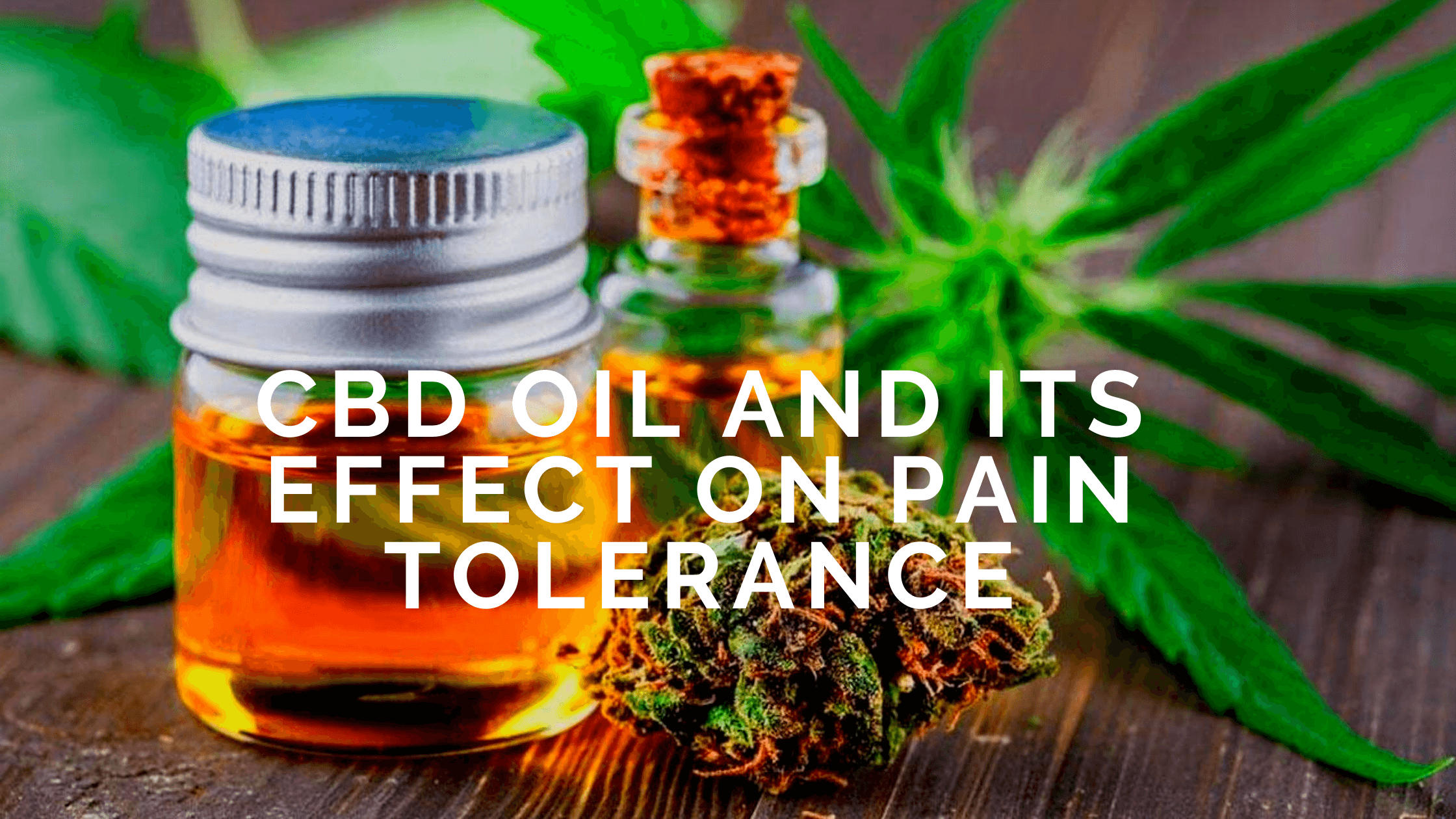 CBD OIL AND ITS EFFECT ON PAIN TOLERANCE