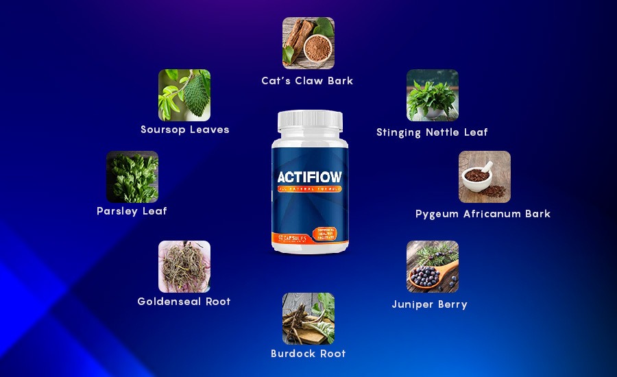 Actiflow Ingredients