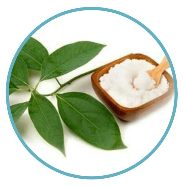 Arctic Blast Ingredient Camphor