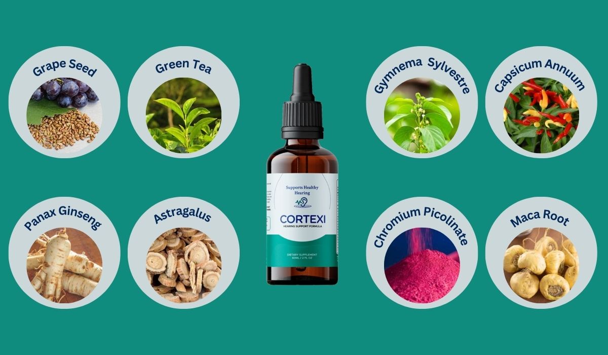 Cortexi Ingredients