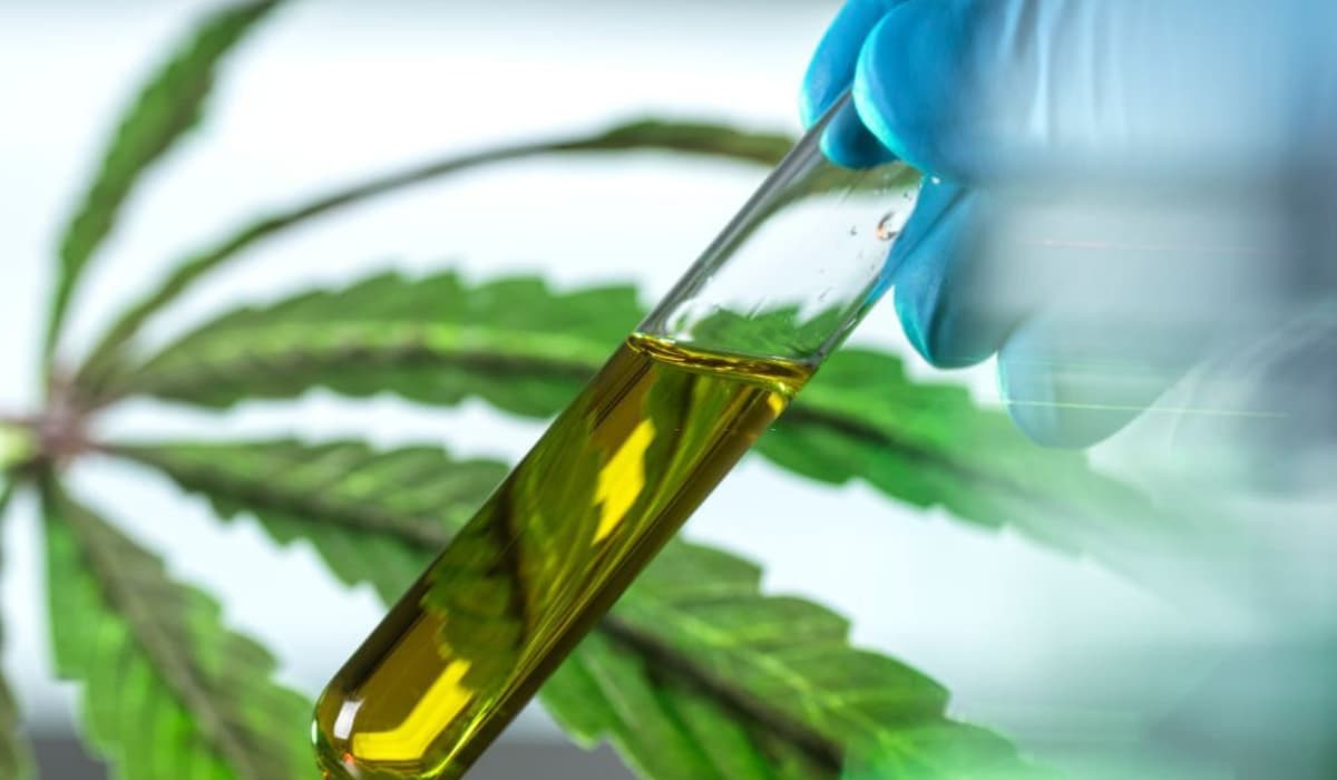 What is broad-spectrum CBD