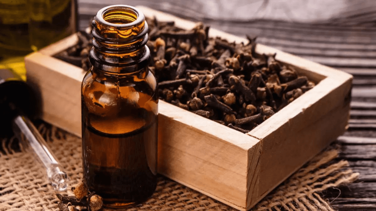 Clove oil