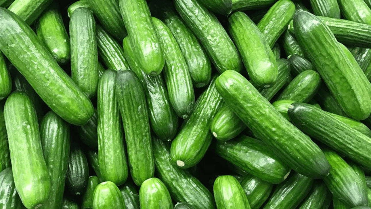 Cucumber