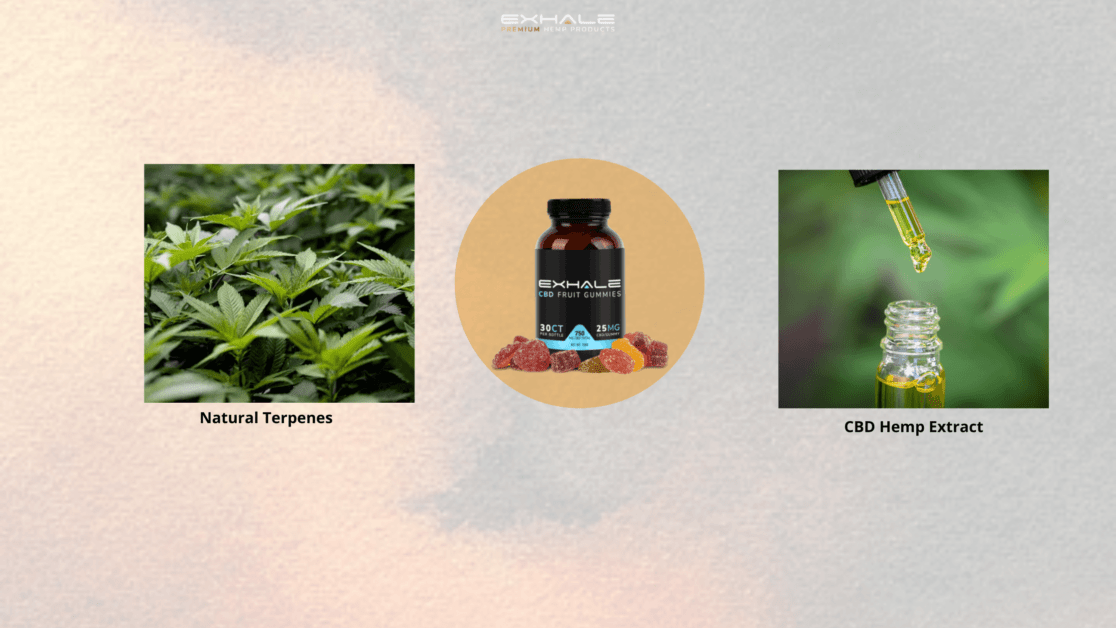 Exhale Wellness CBD Gummies Ingredients