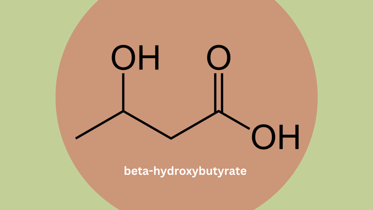 GoKeto BHB Gummies Ingredient