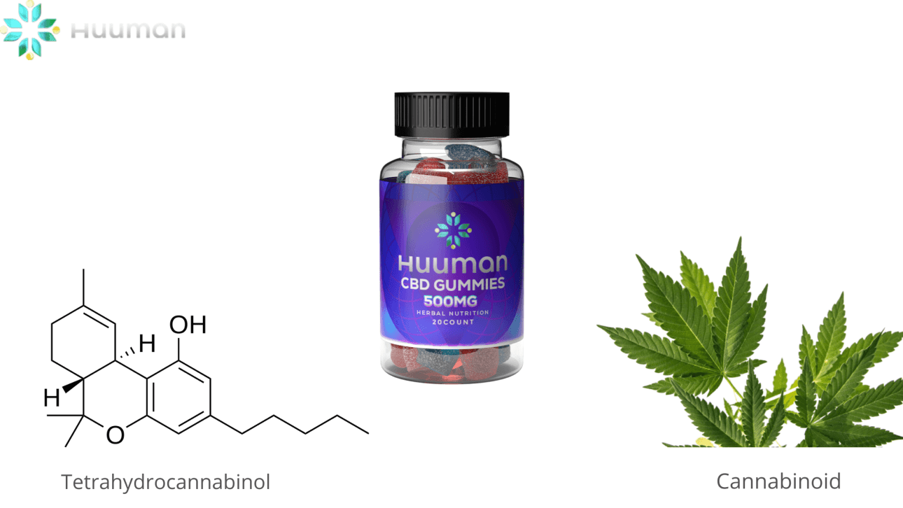 Huuman CBD Gummies Ingredients 