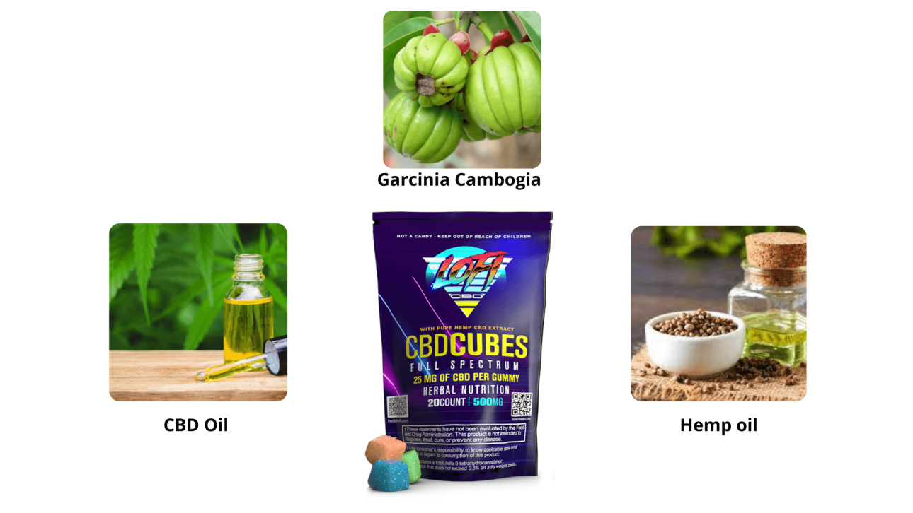 Lofi CBD Gummies Ingredients