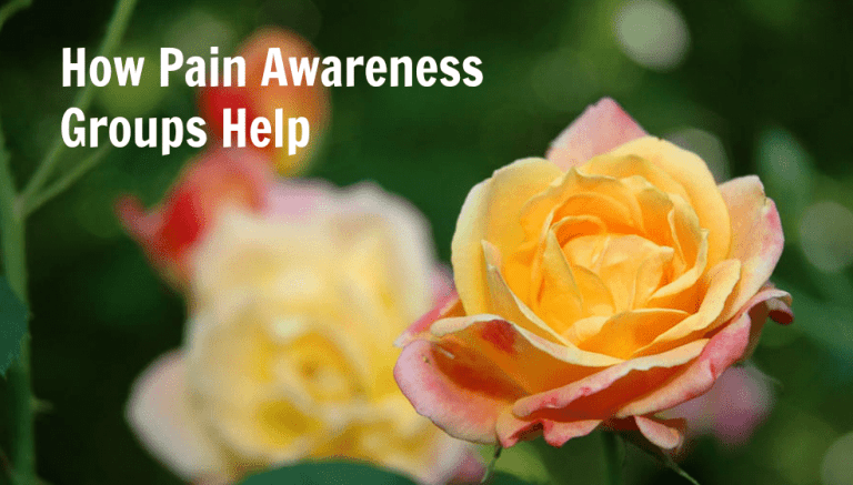 Spotlight on 3 Valuable Pain Awareness Groups