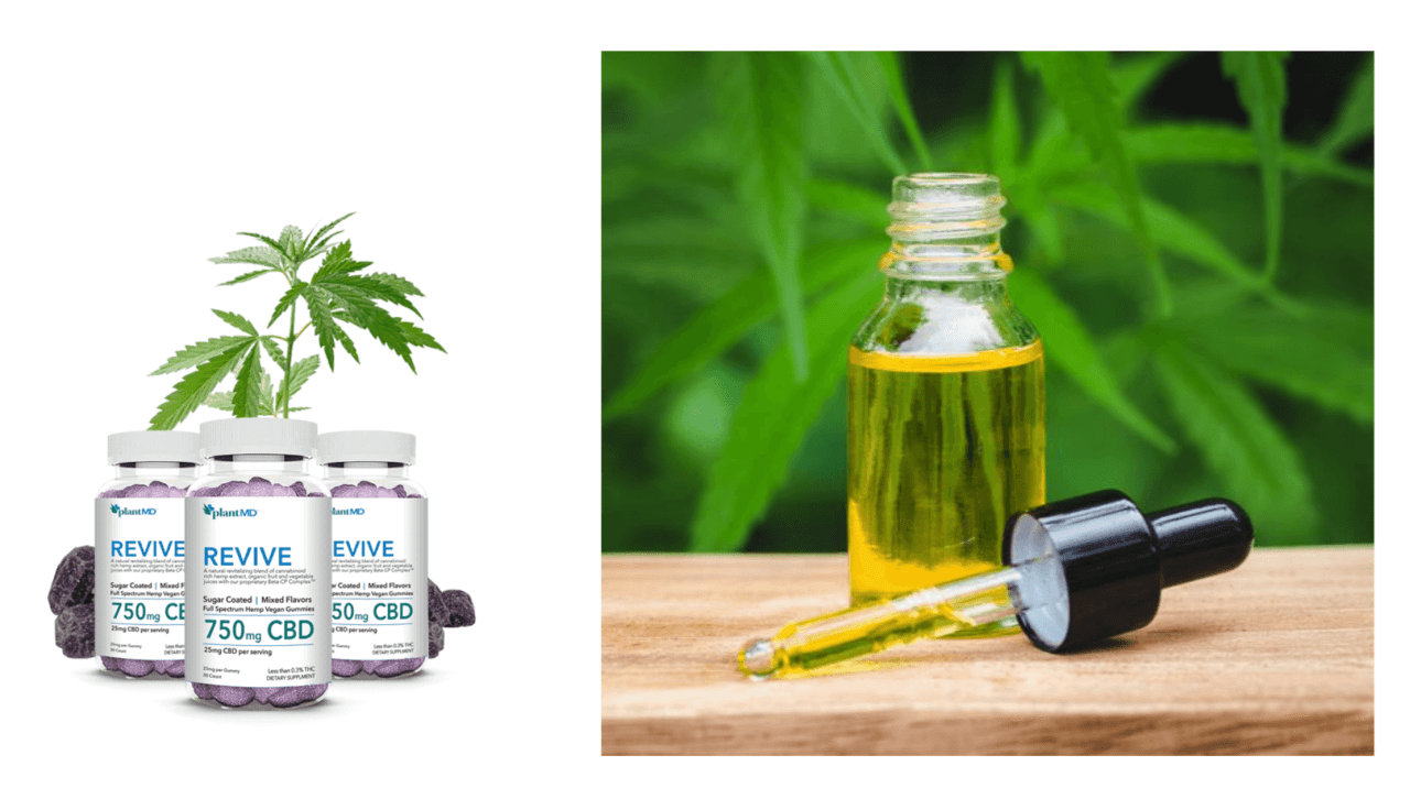 Plant MD CBD Gummies Ingredients